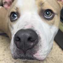 Thumbnail photo of Tennessee #1