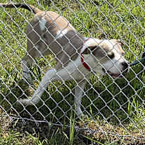 Thumbnail photo of Tennessee #3