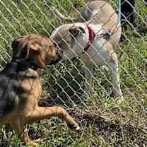 Thumbnail photo of Tennessee #4