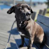 Thumbnail photo of Travis #4