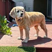 Thumbnail photo of Chloe #3