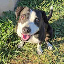 Thumbnail photo of Mila #1