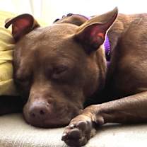 Thumbnail photo of Penny #2