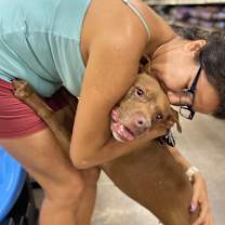 Thumbnail photo of Penny #3