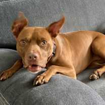 Thumbnail photo of Penny #4