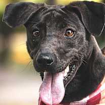 Thumbnail photo of Mandy #2