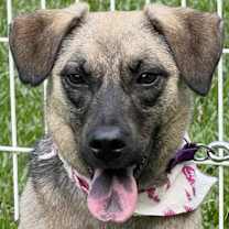 Thumbnail photo of Annie #1