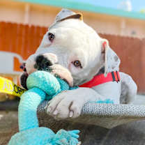 Thumbnail photo of Littles  #1