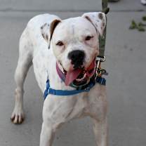 Thumbnail photo of Littles  #3