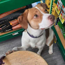 Thumbnail photo of Amy #3