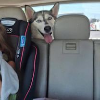 Thumbnail photo of Mia #2