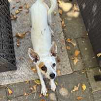 Thumbnail photo of Maxi #4