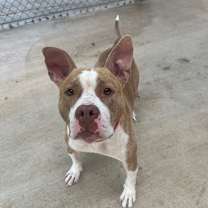 Thumbnail photo of The Rock #2