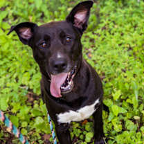 Thumbnail photo of Pinky #2