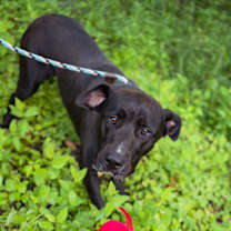 Thumbnail photo of Pinky #3