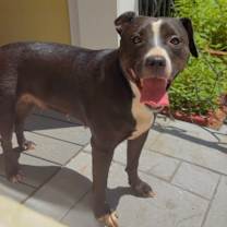 Thumbnail photo of Chiquita #3