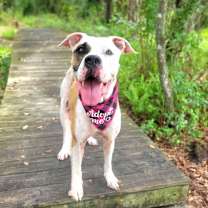 Thumbnail photo of Wilma #3