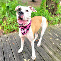 Thumbnail photo of Wilma #4