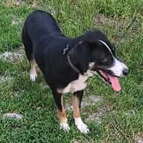 Thumbnail photo of Ayra #2