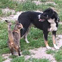 Thumbnail photo of Ayra #3