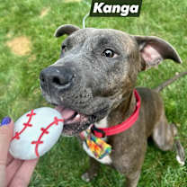 Thumbnail photo of Kanga #2