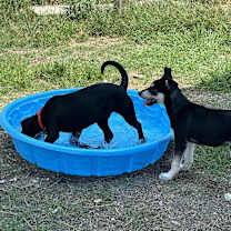 Thumbnail photo of Lady #4