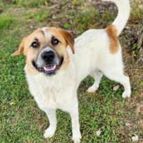 Thumbnail photo of Mikey #2