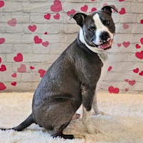 Thumbnail photo of Bubbles #1