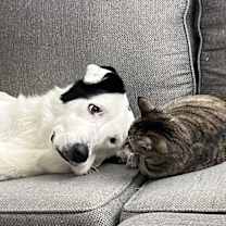 Thumbnail photo of Bella #4