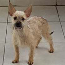 Thumbnail photo of Aya #1