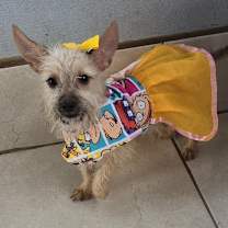 Thumbnail photo of Aya #2