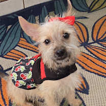 Thumbnail photo of Aya #3