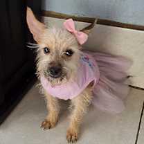 Thumbnail photo of Aya #4