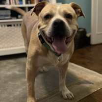 Thumbnail photo of Doc #3