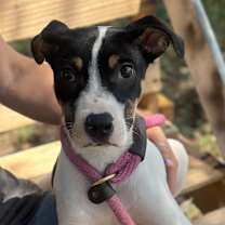 Thumbnail photo of Jerry #3