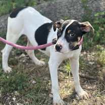 Thumbnail photo of Jerry #1