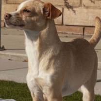 Thumbnail photo of Wynnona #4