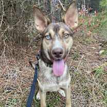 Thumbnail photo of Judy Gemstone #1