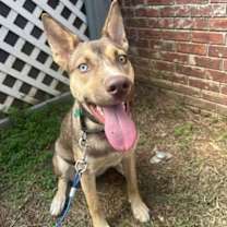 Thumbnail photo of Judy Gemstone #2