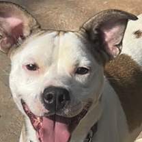 Thumbnail photo of Billy #1