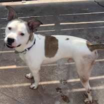 Thumbnail photo of Billy #2