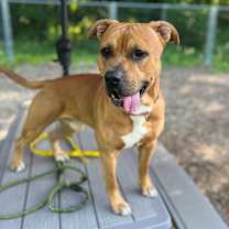 Thumbnail photo of Wheezy #1