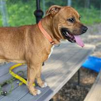 Thumbnail photo of Wheezy #2