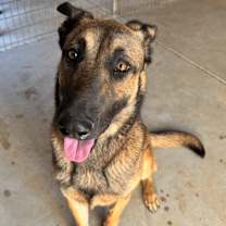 Thumbnail photo of Zeus #1