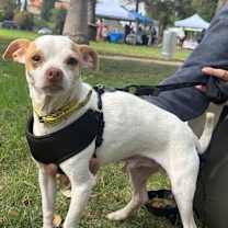 Thumbnail photo of Paul (Palomo) #1