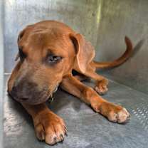 Thumbnail photo of Thad 1147 #2