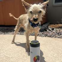 Thumbnail photo of Tony #2