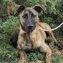 Thumbnail photo of Dustin #1