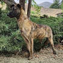 Thumbnail photo of Dustin #2