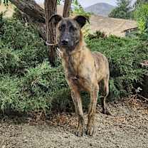 Thumbnail photo of Dustin #3